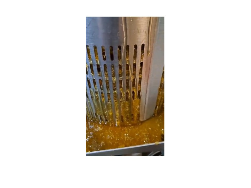 Honiggewinnung aus der Bienenwabe